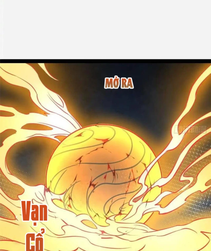 Đô Thị Cực Phẩm Y Thần Chapter 312 - 33