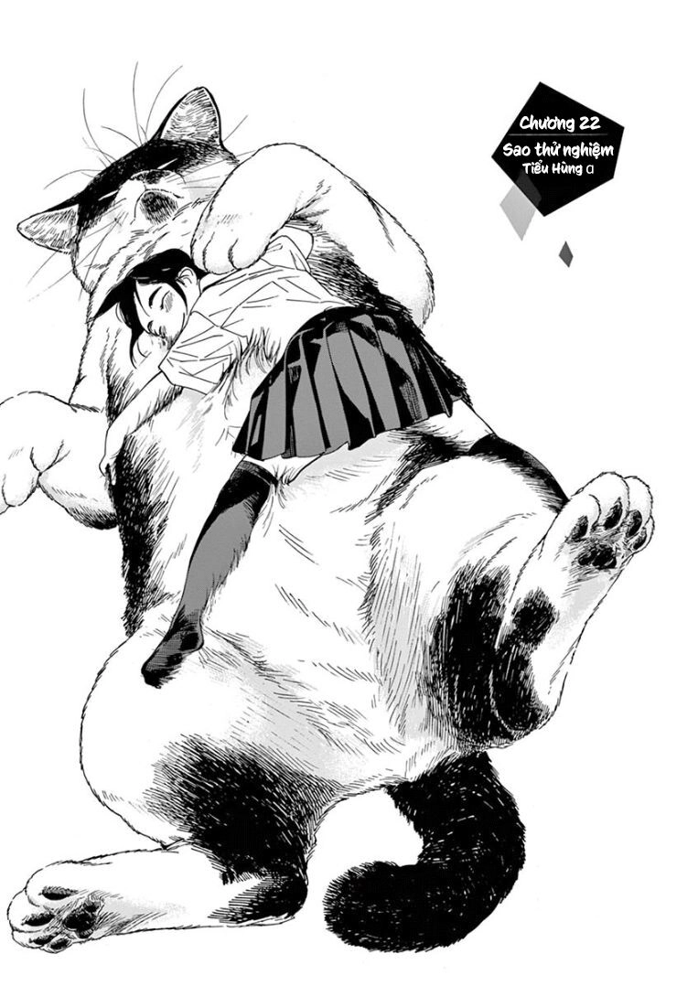 Câu Lạc Bộ Những Kẻ Mất Ngủ Chapter 22 - 2