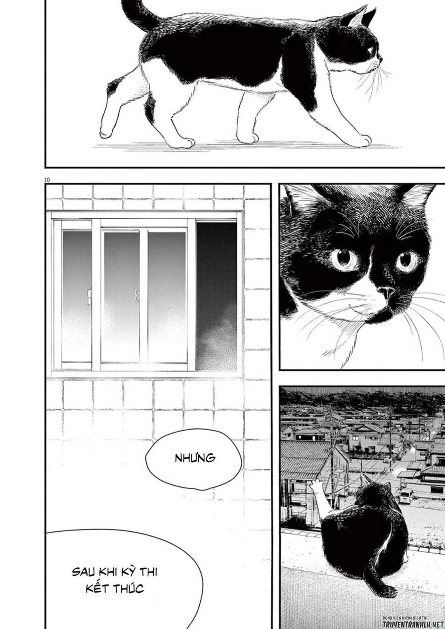 Câu Lạc Bộ Những Kẻ Mất Ngủ Chapter 112 - 11