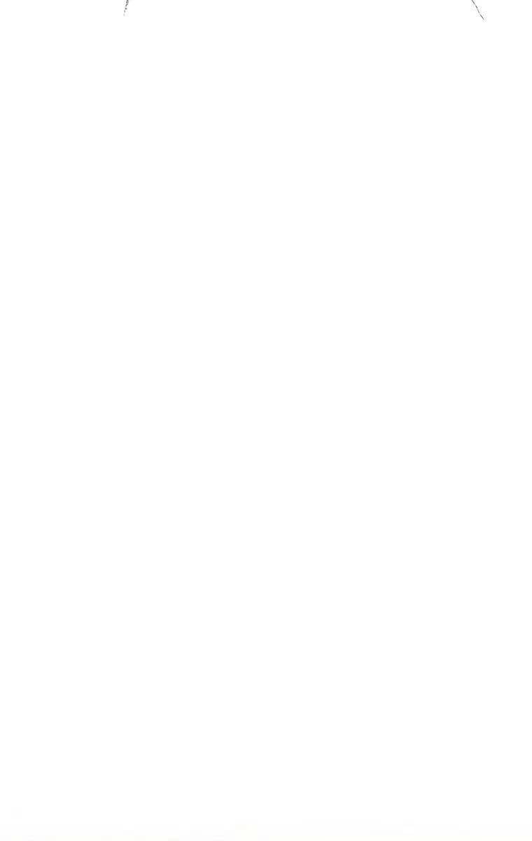 Đặc Vụ Song Sinh Chapter 37 - 89