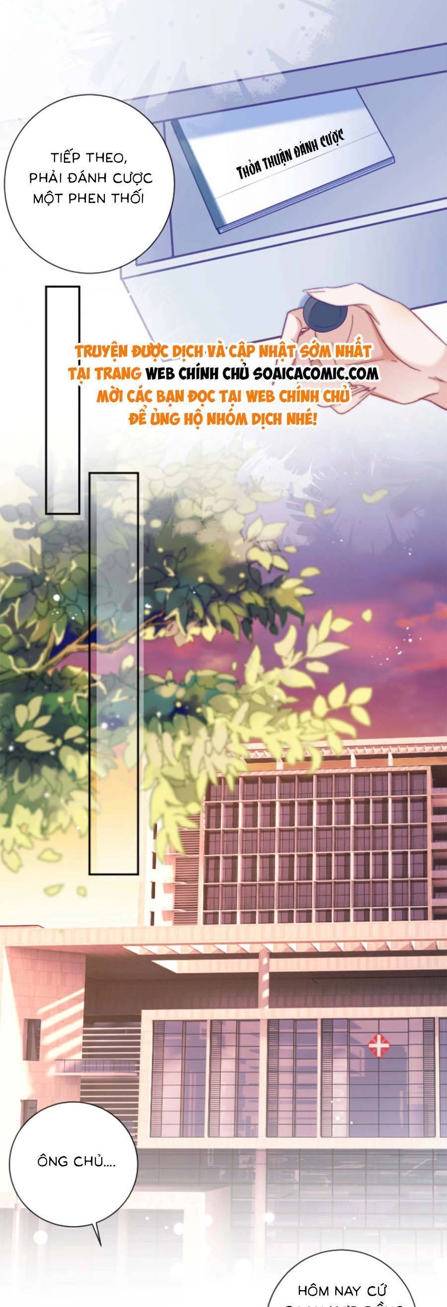 Nữ Cố Vấn Quyền Lực Trong Showbiz Chapter 11 - 13