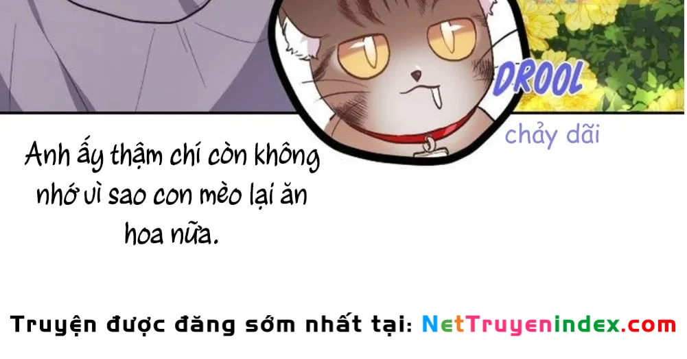 Tôi Chỉ Là Một Tiểu Thư Bình Thường Chapter 144 - 104