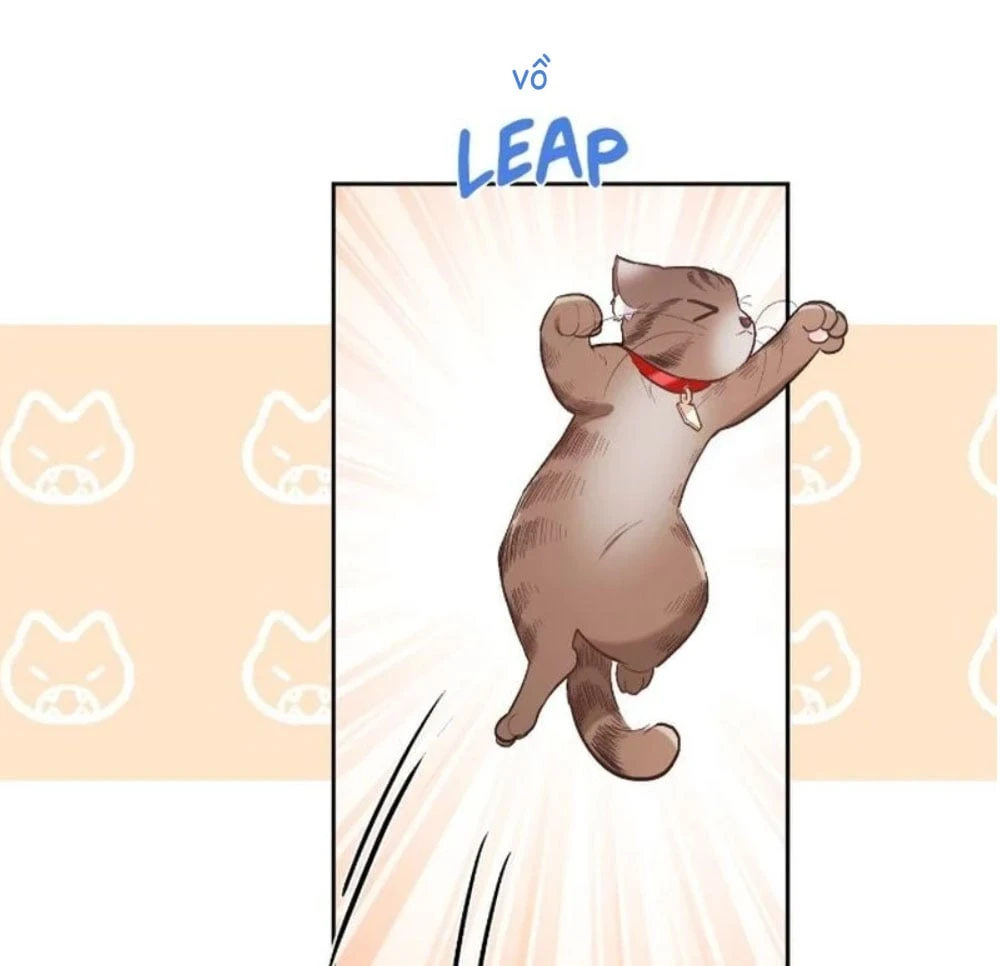 Tôi Chỉ Là Một Tiểu Thư Bình Thường Chapter 144 - 106