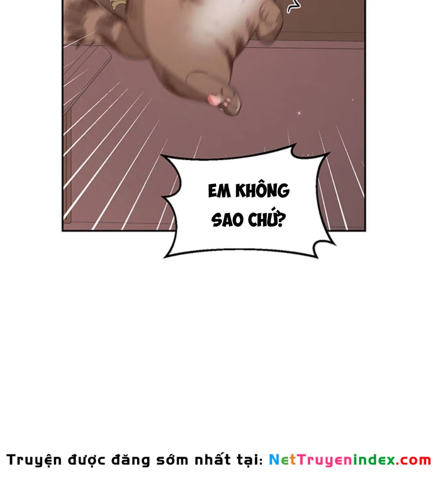 Tôi Chỉ Là Một Tiểu Thư Bình Thường Chapter 149 - 110