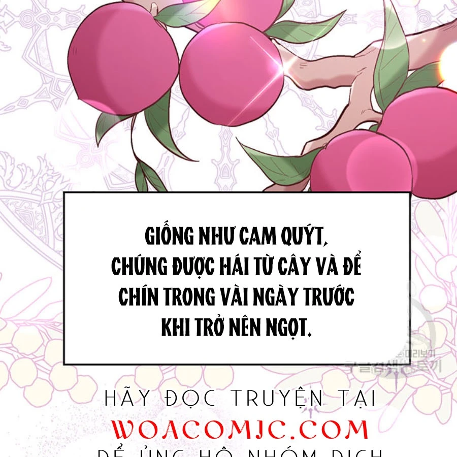 Tôi Chỉ Là Một Tiểu Thư Bình Thường Chapter 154 - 126