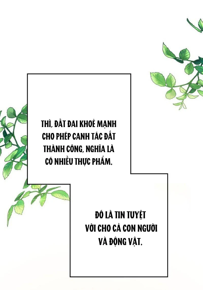 Tôi Chỉ Là Một Tiểu Thư Bình Thường Chapter 160 - 61