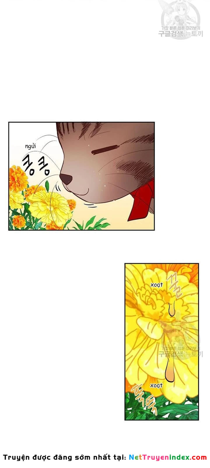 Tôi Chỉ Là Một Tiểu Thư Bình Thường Chapter 162 - 33