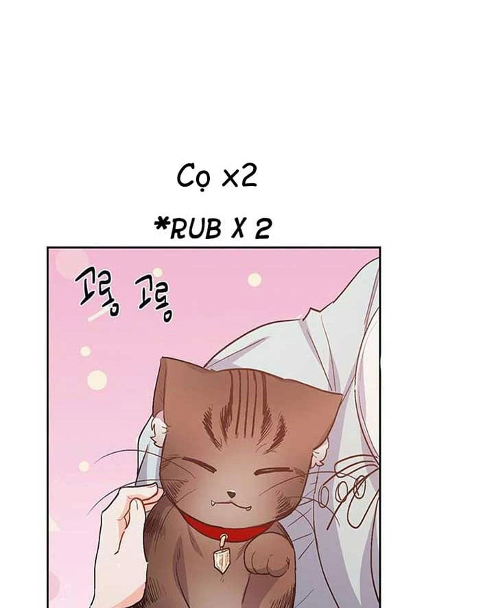 Tôi Chỉ Là Một Tiểu Thư Bình Thường Chapter 199 - 95