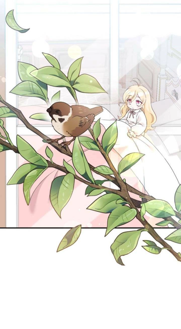 Công Chúa Dược Sĩ Bé Con Chapter 5 - 8