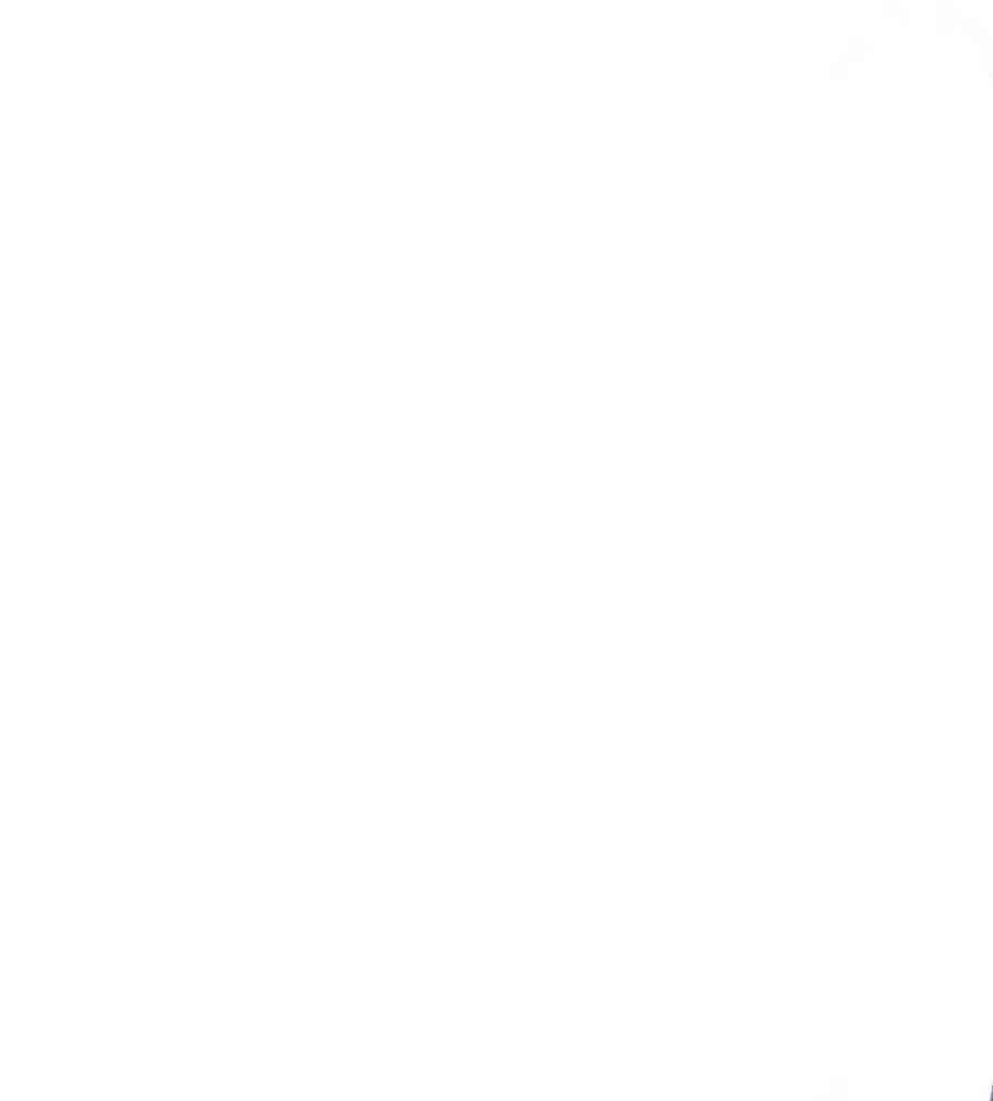 Thiết Lập Ác Nữ Của Tôi Sụp Đổ Rồi Chapter 13 - 20