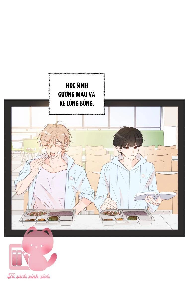 Dịch Vụ Chuyển Phát Hình Mẫu Lý Tưởng Chapter 21 - 41