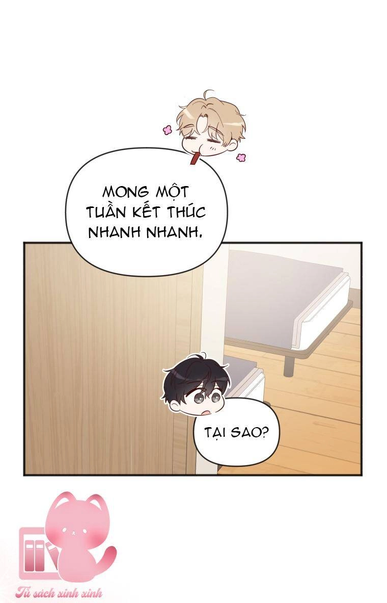 Dịch Vụ Chuyển Phát Hình Mẫu Lý Tưởng Chapter 23 - 62