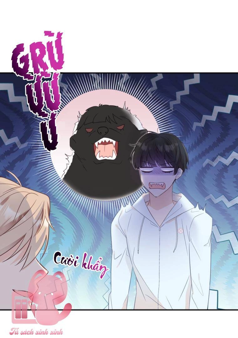 Dịch Vụ Chuyển Phát Hình Mẫu Lý Tưởng Chapter 24 - 21