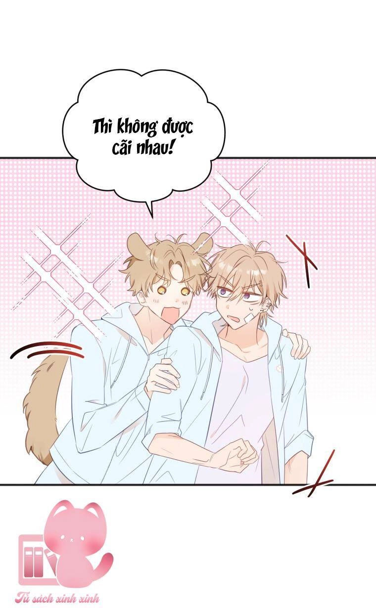 Dịch Vụ Chuyển Phát Hình Mẫu Lý Tưởng Chapter 24 - 49