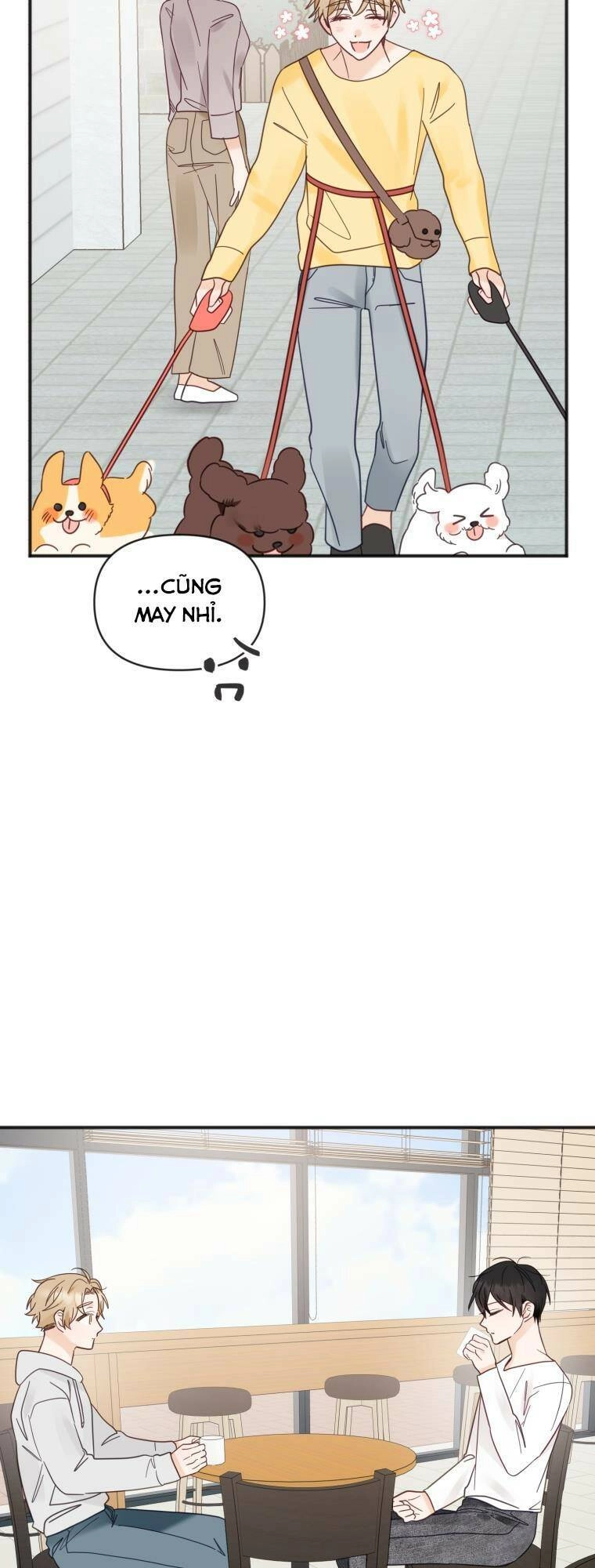 Dịch Vụ Chuyển Phát Hình Mẫu Lý Tưởng Chapter 42 - 29