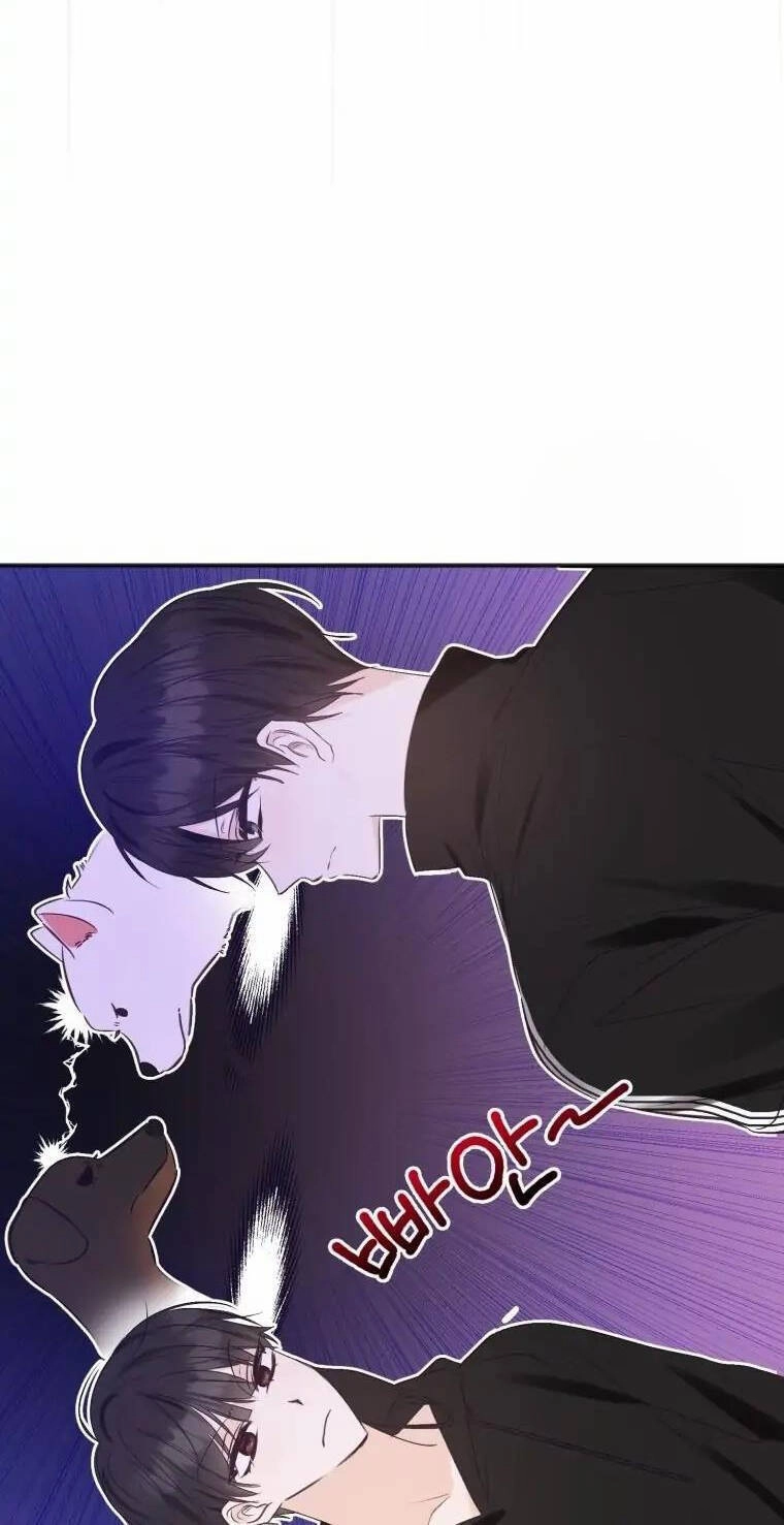 Dịch Vụ Chuyển Phát Hình Mẫu Lý Tưởng Chapter 71 - 8