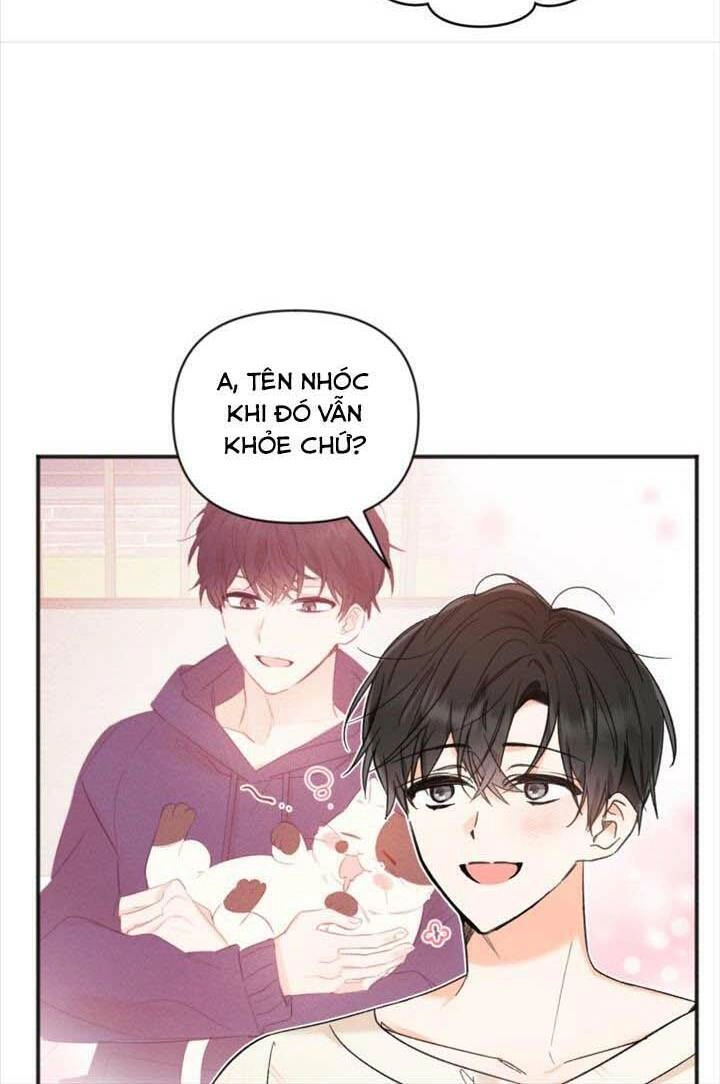 Dịch Vụ Chuyển Phát Hình Mẫu Lý Tưởng Chapter 90 - 3