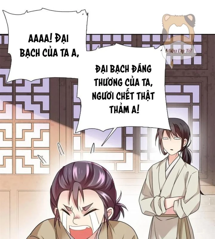 Phụ Thân Hôm Nay Người Đọc Sách Chưa? Chapter  66 - 25