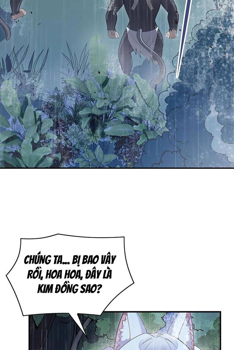 Các Nữ Đồ Đệ Của Ta Đều Là Chư Thiên Đại Lão Tương Lai Chapter 227 - 55