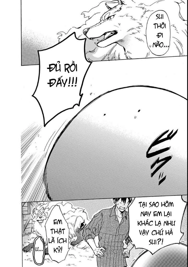 Cuộc Phiêu Lưu Của Bé Sui Chapter 18 - 14