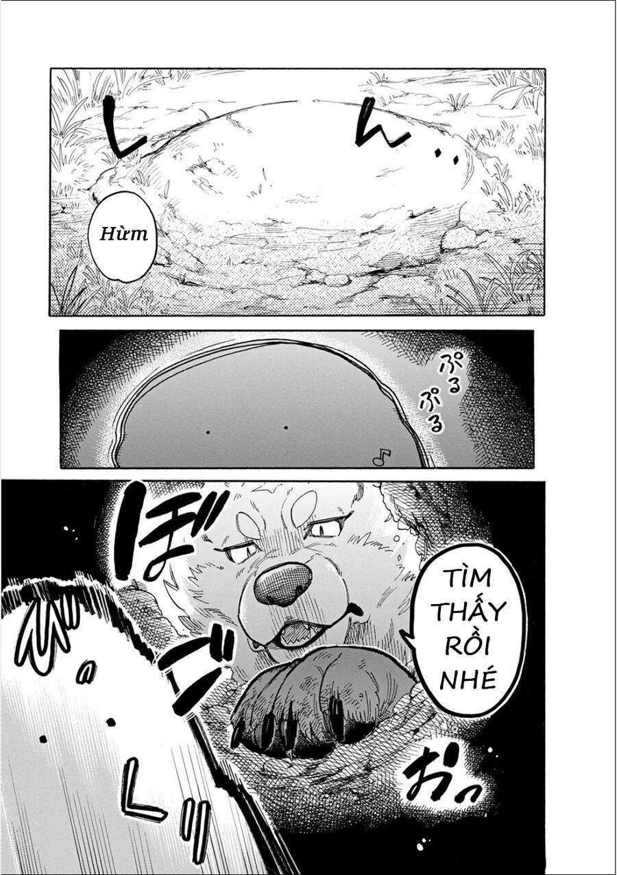 Cuộc Phiêu Lưu Của Bé Sui Chapter 42 - 7