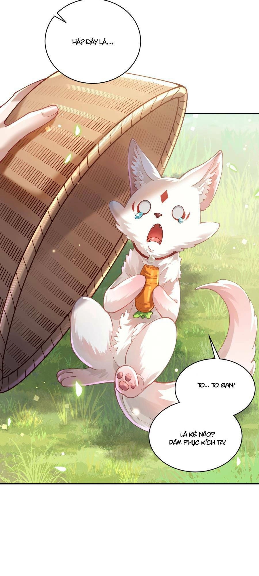 Bói Toán Mà Thôi, Cửu Vĩ Yêu Đế Sao Lại Thành Nương Tử Ta?! Chapter 22 - 42