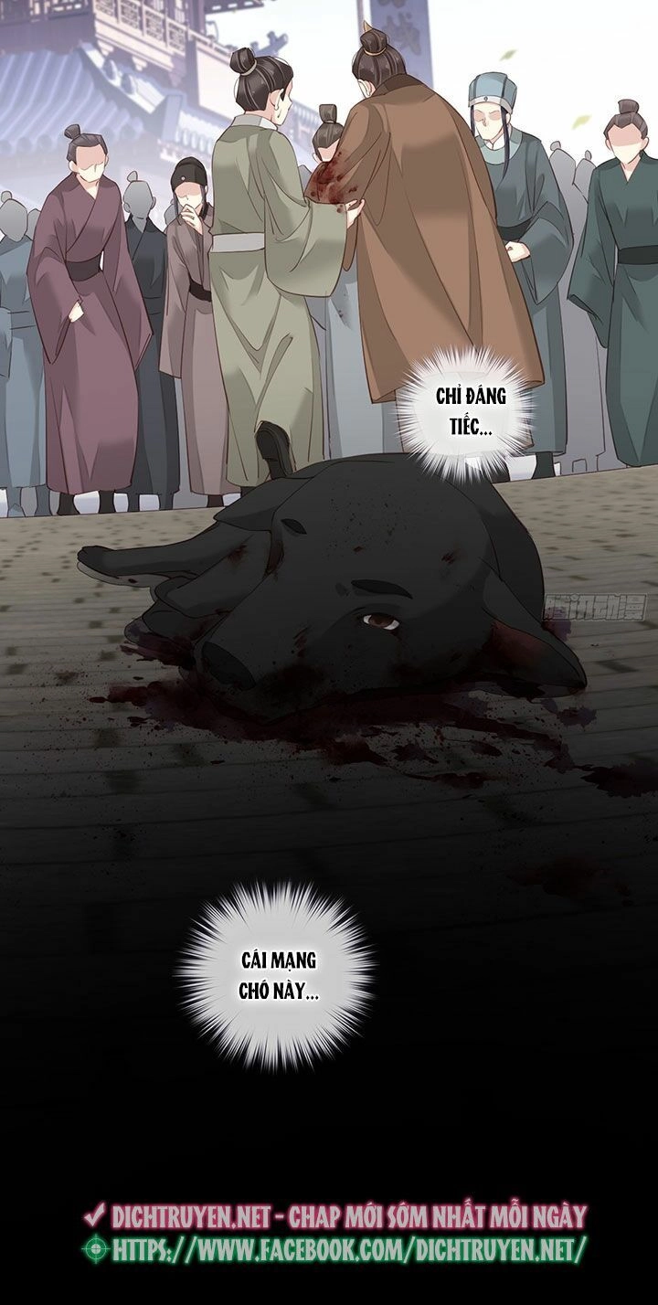 Quận Chúa Bất Tư Gia Chapter 1 - 25