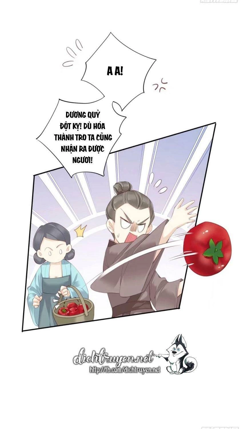 Quận Chúa Bất Tư Gia Chapter 34 - 7