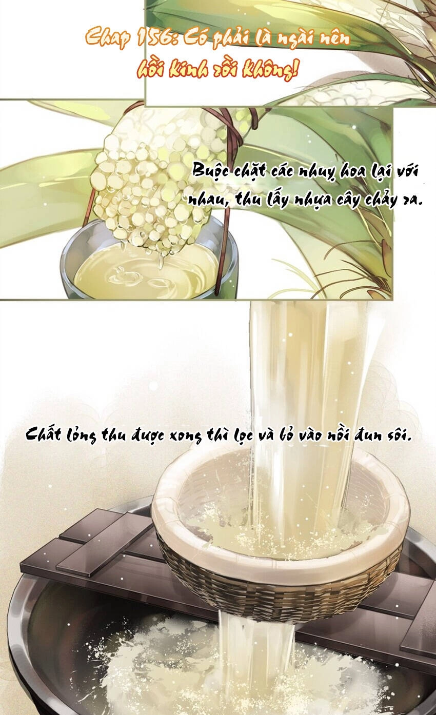 Quận Chúa Bất Tư Gia Chapter 156 - 3