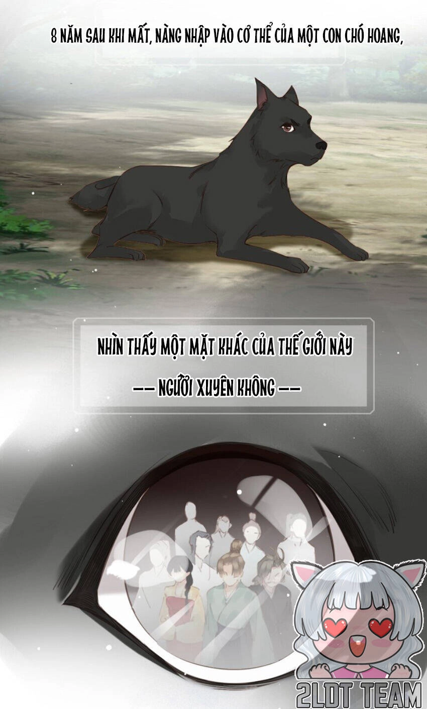 Quận Chúa Bất Tư Gia Chapter 174 - 6