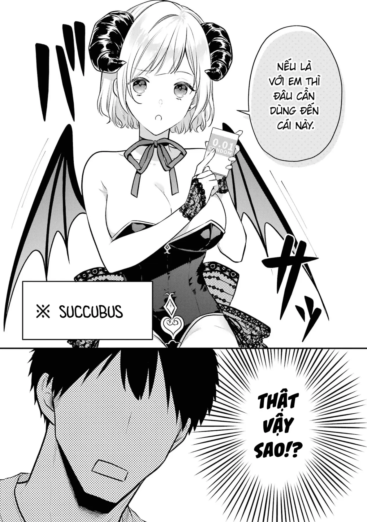 Hẹn Hò Nghiêm Túc Với Succubus Chapter  16.5 - 10