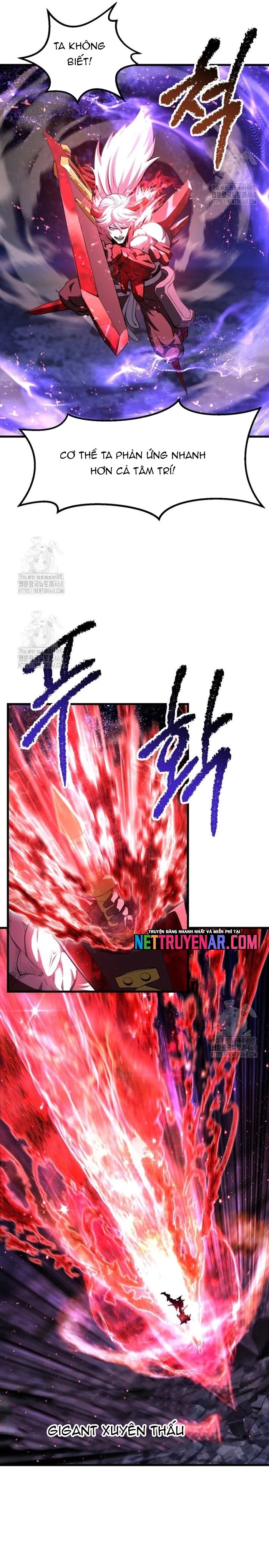 Anh Hùng Mạnh Nhất? Ta Không Làm Lâu Rồi! Chapter 264 - 13