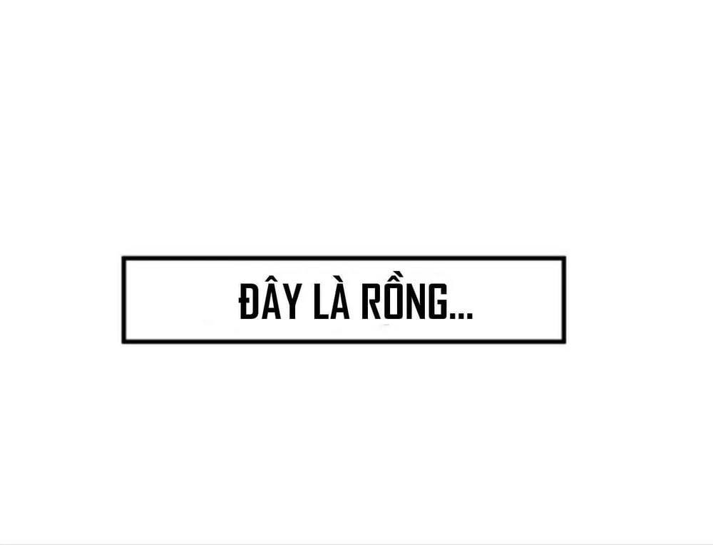 Anh Hùng Mạnh Nhất? Ta Không Làm Lâu Rồi! Chapter 24 - 95