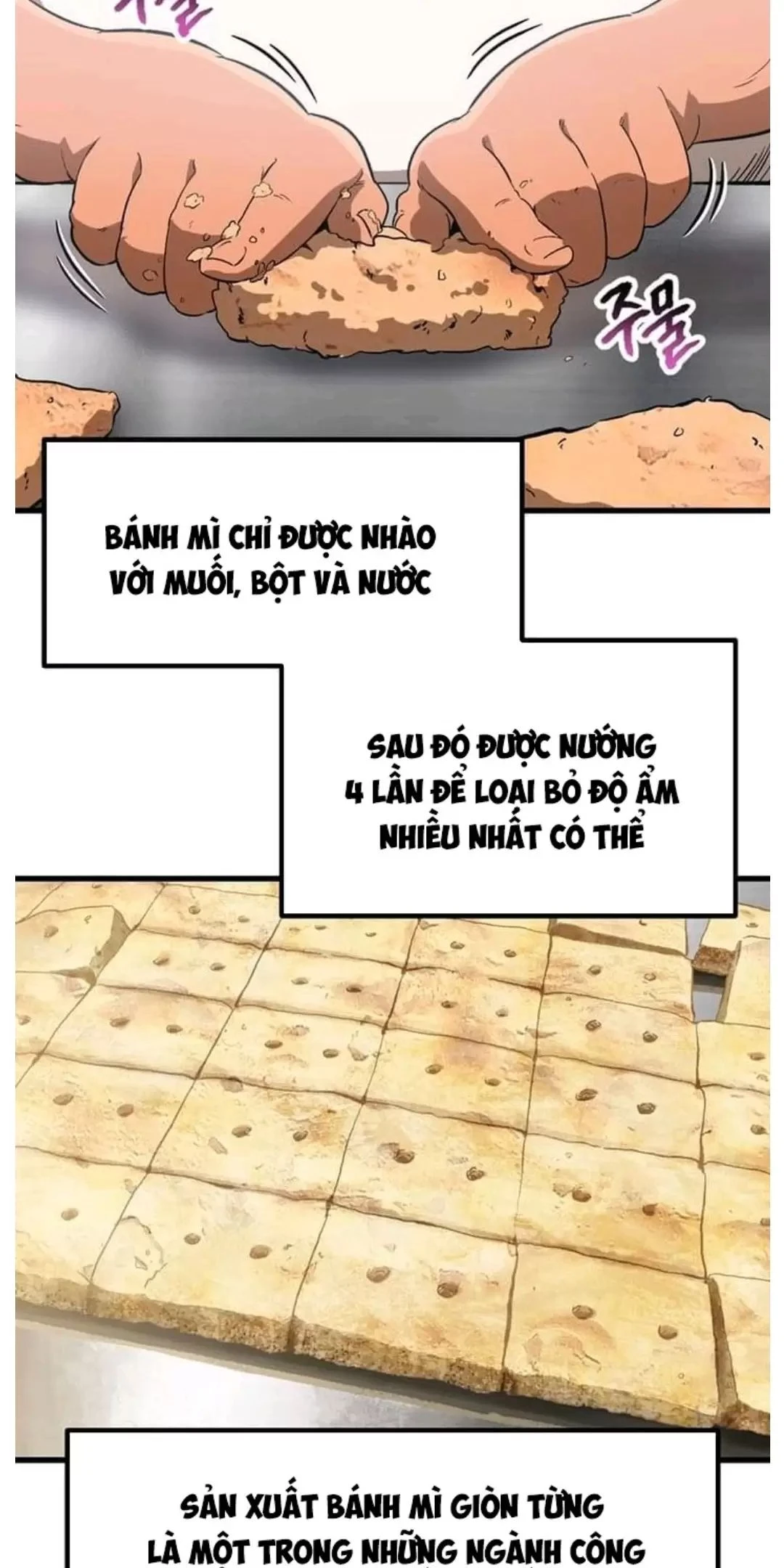 Anh Hùng Mạnh Nhất? Ta Không Làm Lâu Rồi! Chapter  186 - 36