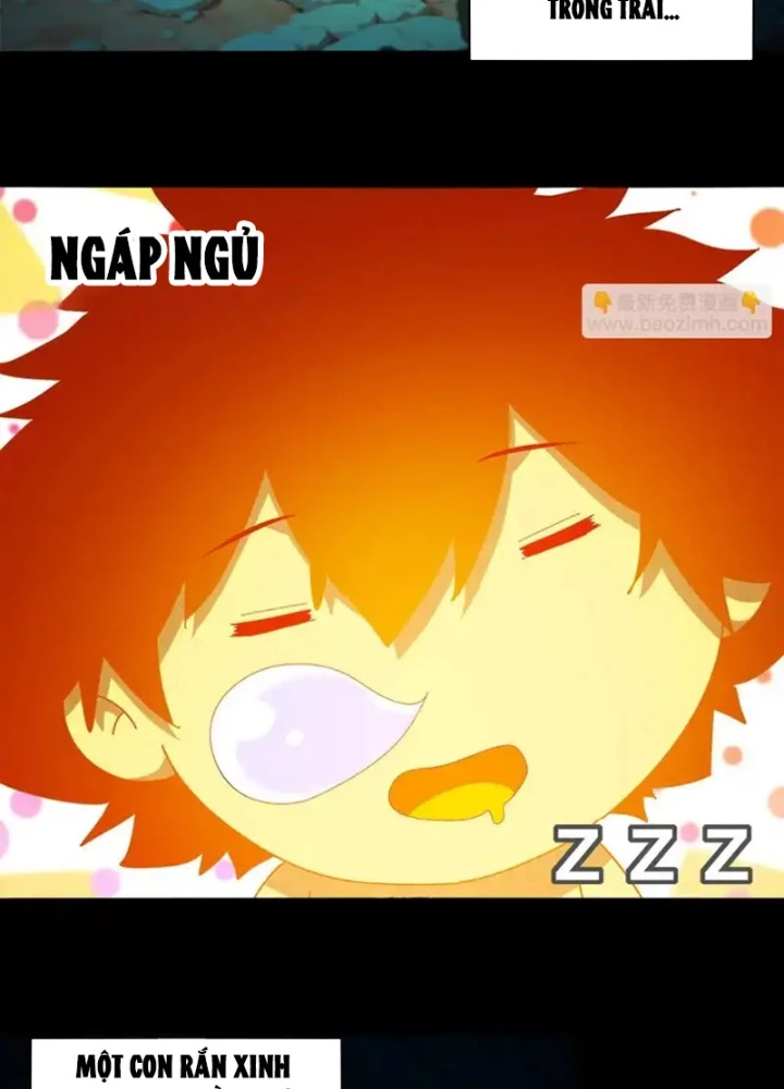 Tuyệt Sắc Đạo Lữ Đều Nói Ngô Hoàng Thể Chất Vô Địch Chapter 421 - 5