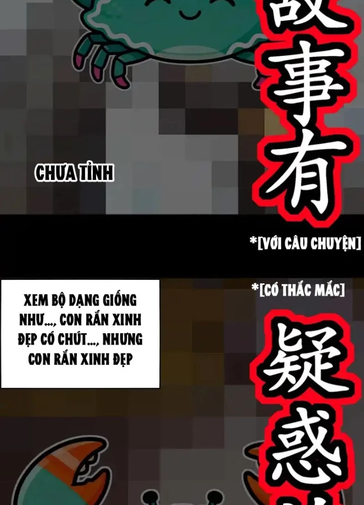 Tuyệt Sắc Đạo Lữ Đều Nói Ngô Hoàng Thể Chất Vô Địch Chapter 421 - 11