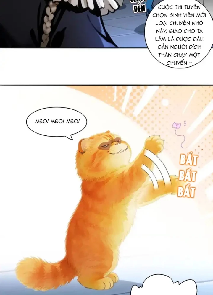 Tuyệt Sắc Đạo Lữ Đều Nói Ngô Hoàng Thể Chất Vô Địch Chapter 427 - 27