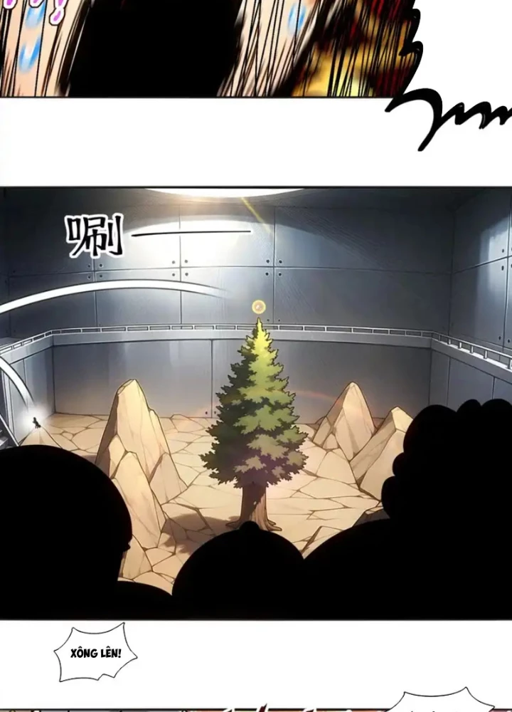 Tuyệt Sắc Đạo Lữ Đều Nói Ngô Hoàng Thể Chất Vô Địch Chapter 427 - 49