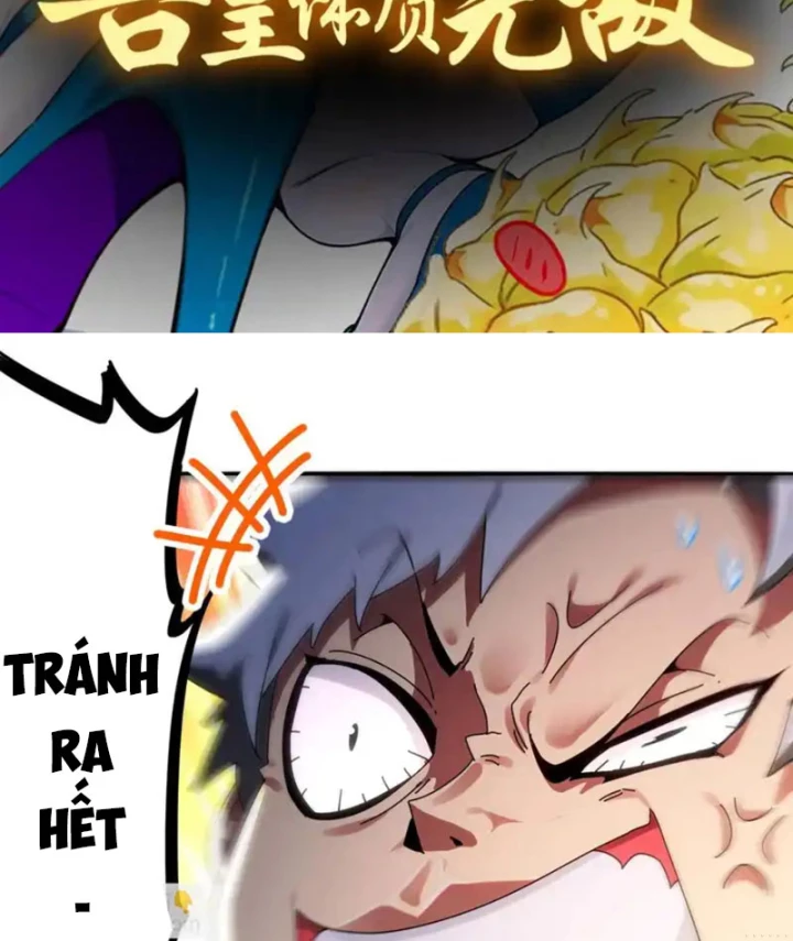 Tuyệt Sắc Đạo Lữ Đều Nói Ngô Hoàng Thể Chất Vô Địch Chapter 428 - 2