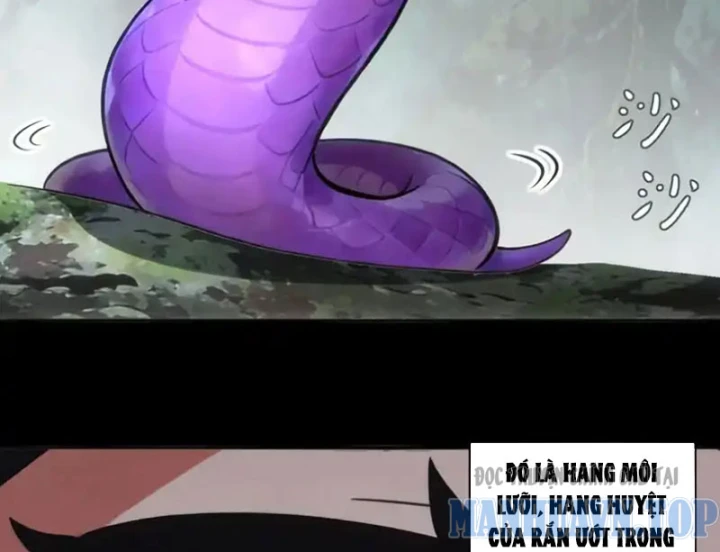 Tuyệt Sắc Đạo Lữ Đều Nói Ngô Hoàng Thể Chất Vô Địch Chapter 431 - 5