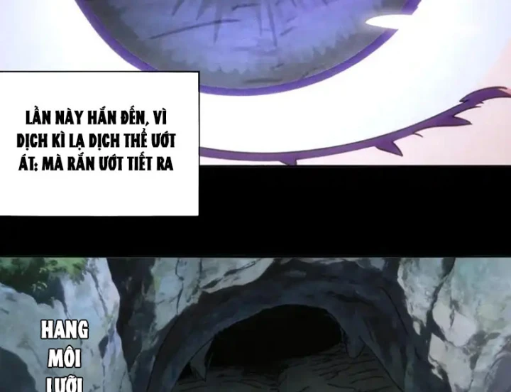 Tuyệt Sắc Đạo Lữ Đều Nói Ngô Hoàng Thể Chất Vô Địch Chapter 431 - 7