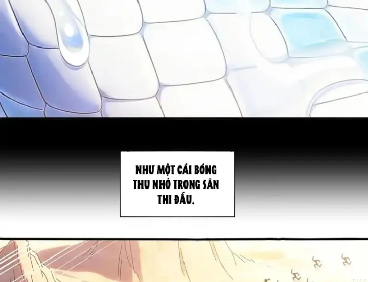 Tuyệt Sắc Đạo Lữ Đều Nói Ngô Hoàng Thể Chất Vô Địch Chapter 431 - 22