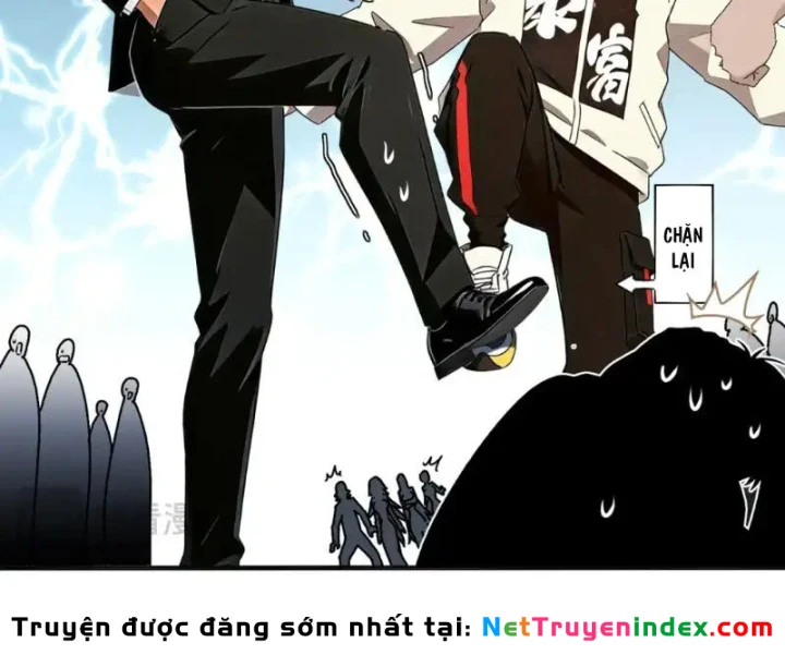 Tuyệt Sắc Đạo Lữ Đều Nói Ngô Hoàng Thể Chất Vô Địch Chapter 434 - 14