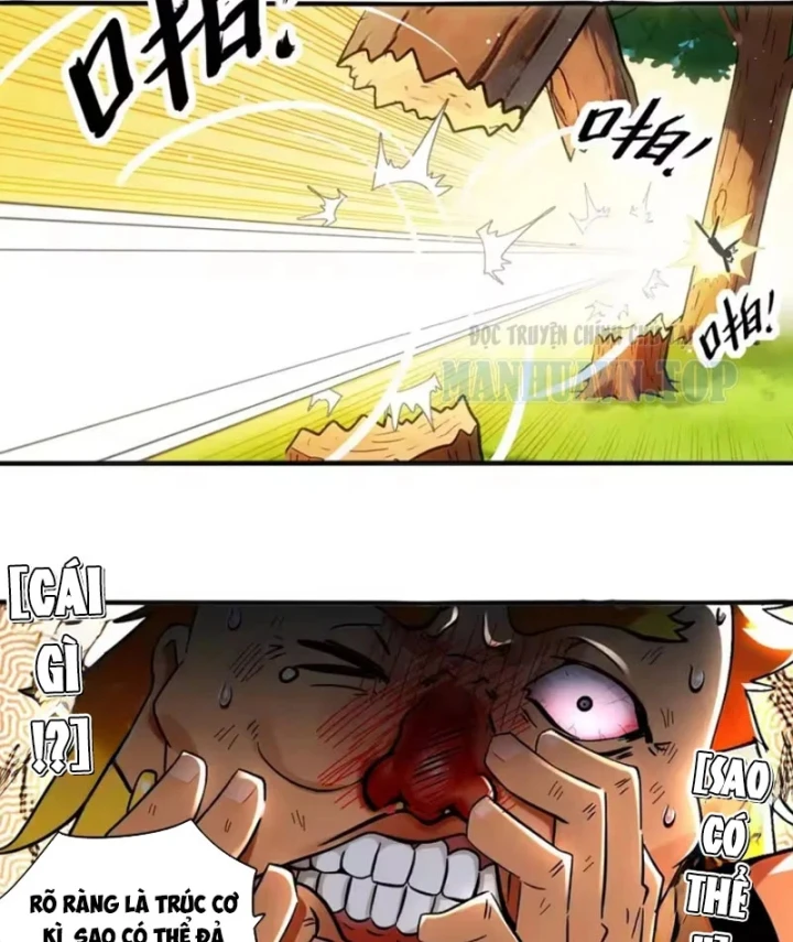 Tuyệt Sắc Đạo Lữ Đều Nói Ngô Hoàng Thể Chất Vô Địch Chapter 448 - 14