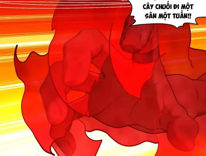 Tuyệt Sắc Đạo Lữ Đều Nói Ngô Hoàng Thể Chất Vô Địch Chapter 455 - 11