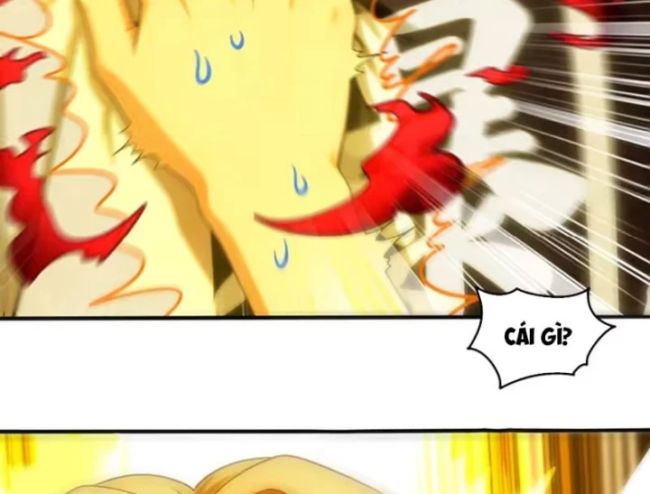 Tuyệt Sắc Đạo Lữ Đều Nói Ngô Hoàng Thể Chất Vô Địch Chapter 455 - 14