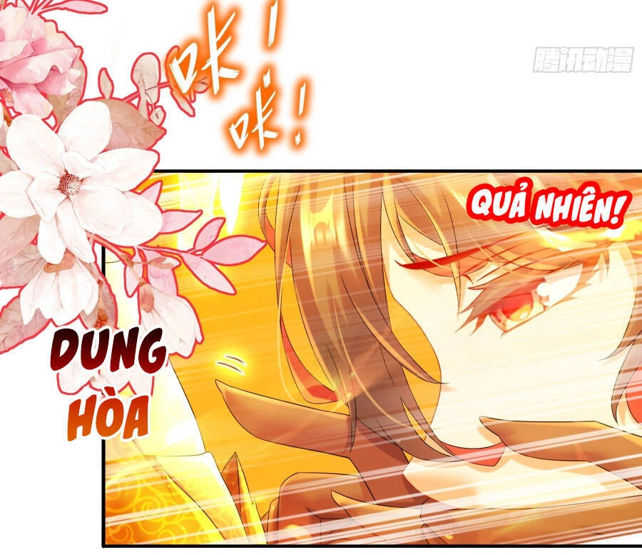 Tuyệt Sắc Đạo Lữ Đều Nói Ngô Hoàng Thể Chất Vô Địch Chapter 7 - 31