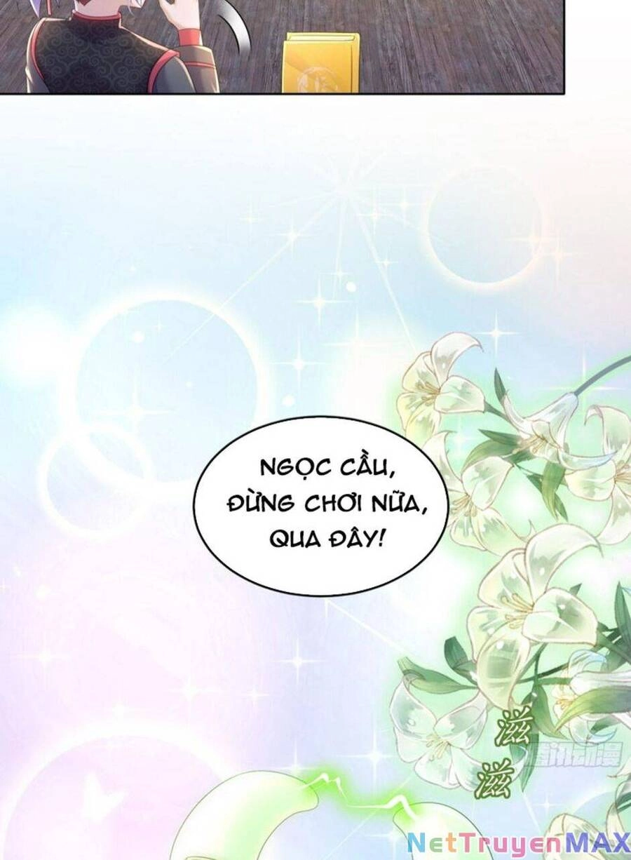 Tuyệt Sắc Đạo Lữ Đều Nói Ngô Hoàng Thể Chất Vô Địch Chapter 54 - 7