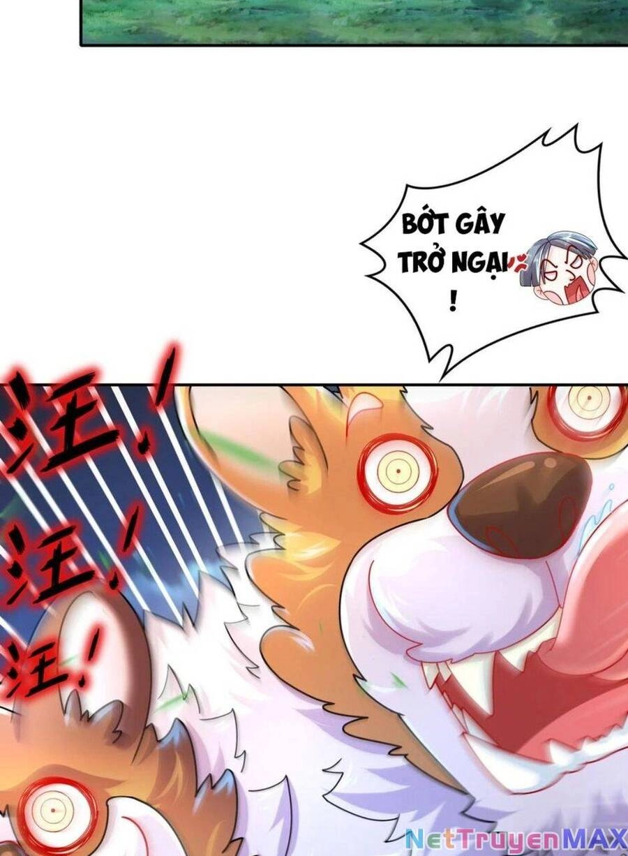 Tuyệt Sắc Đạo Lữ Đều Nói Ngô Hoàng Thể Chất Vô Địch Chapter 58 - 25