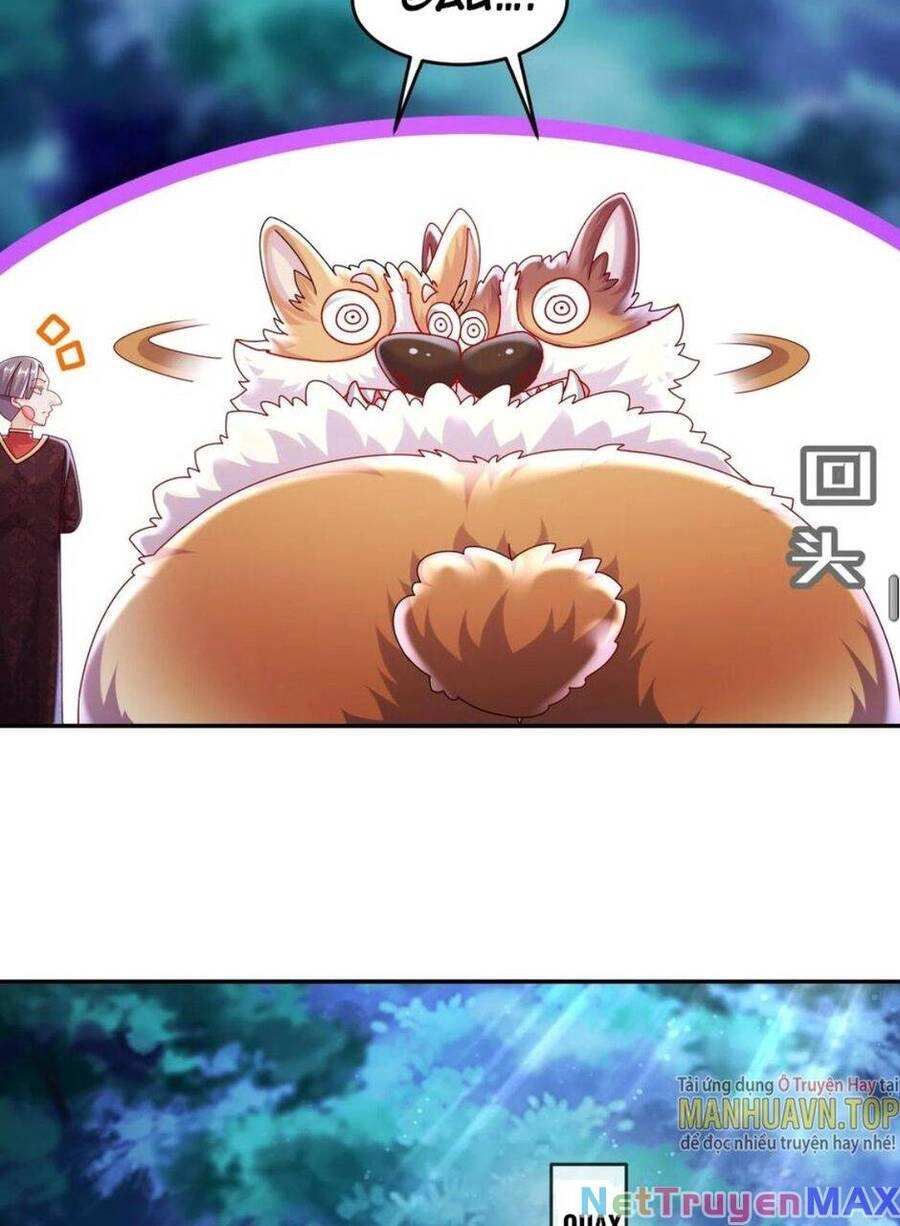 Tuyệt Sắc Đạo Lữ Đều Nói Ngô Hoàng Thể Chất Vô Địch Chapter 58 - 45